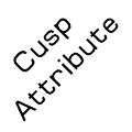 cusp attribute thumb